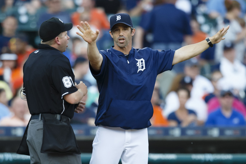 Brad Ausmus – Fan Interference