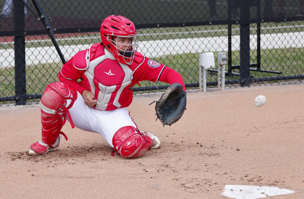 Nationals Designate Israel Pineda