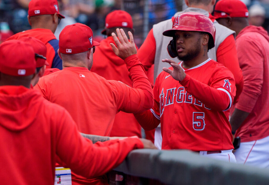 Angels Select Willie Calhoun