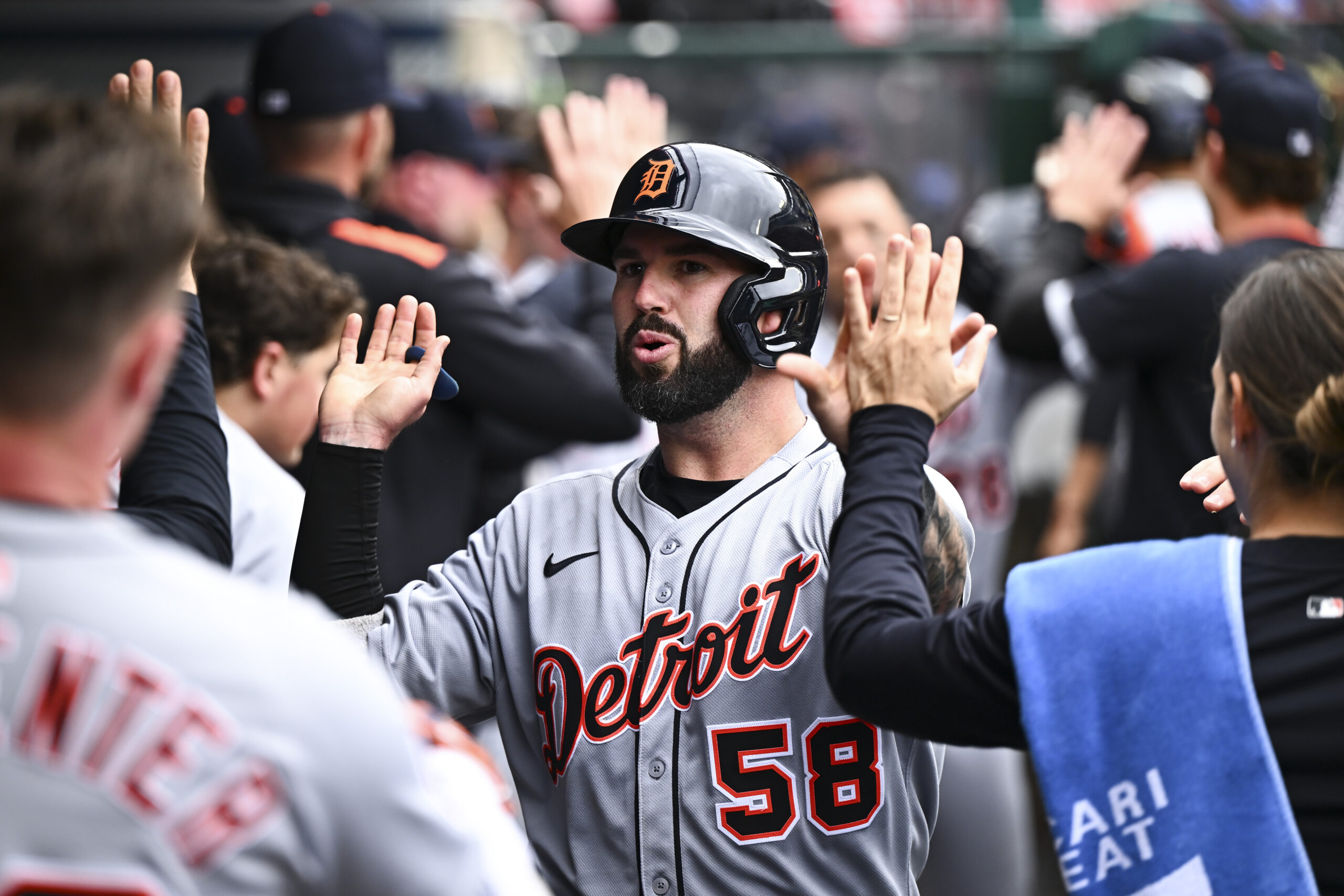 Tigers Designate Tomas Nido For Assignment - MLB Trade Rumors