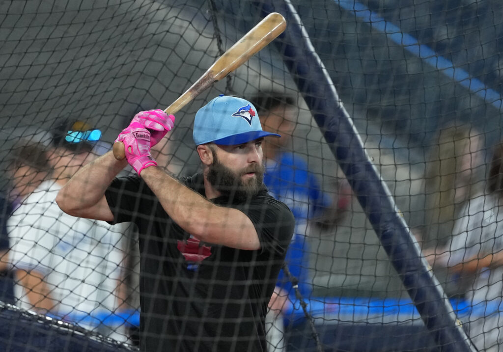 Blue Jays Designate Michael Stefanic, Ali Sánchez