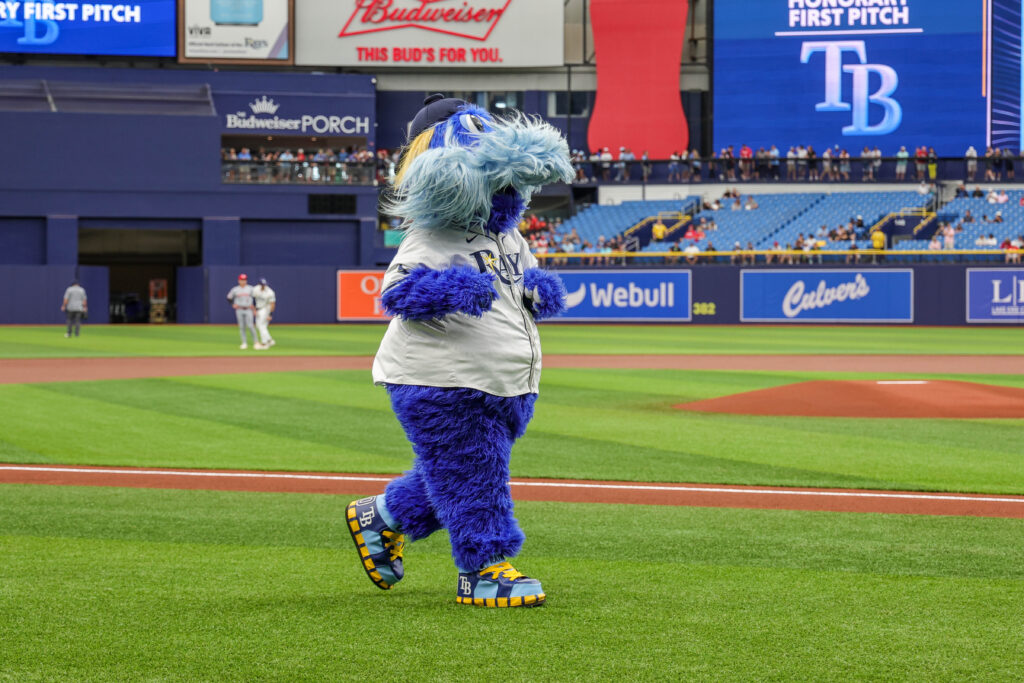 Hillsborough County Commission Approves Rays&rsquo; Stadium Proposal